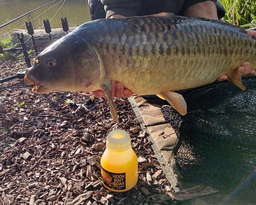 Bait Dip Soak Glug 'Pva Safe' Tiger Nutty Cloudy 250ml